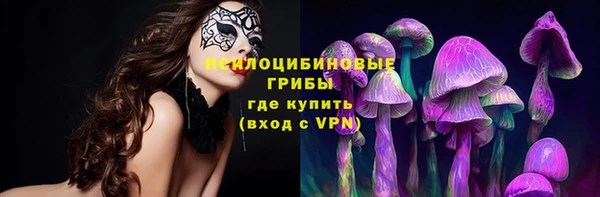 спиды Краснослободск