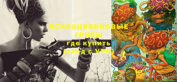 дмт Кукмор